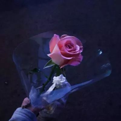 一个底层美少女的堕落史
